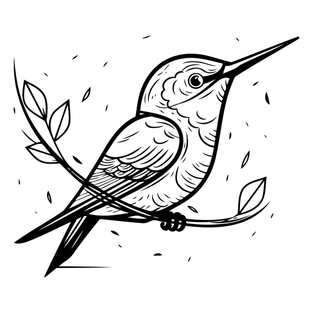 Vector colibrí sentado en una rama con hojas ilustración vectorial