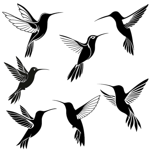 El colibrí