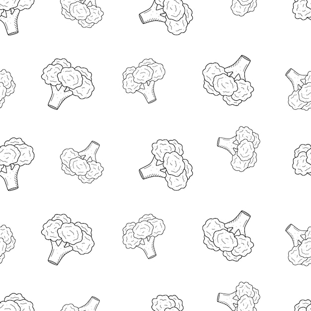Coliflor de patrones sin fisuras garabato dibujo vectorial col fondo
