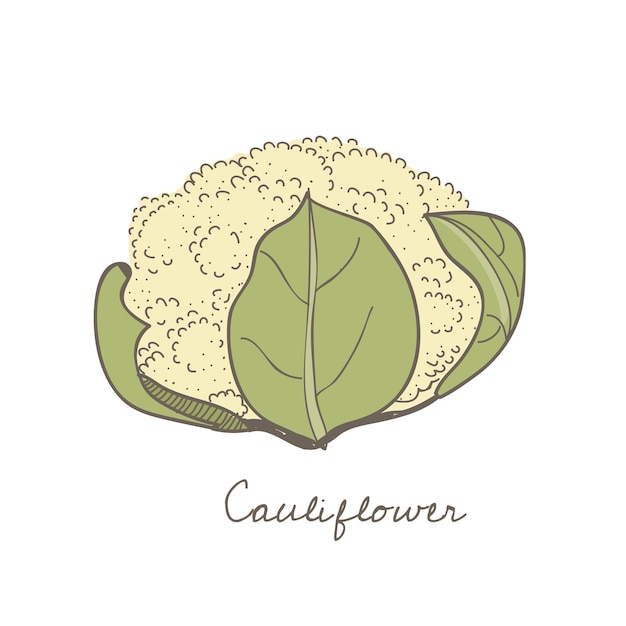 una coliflor