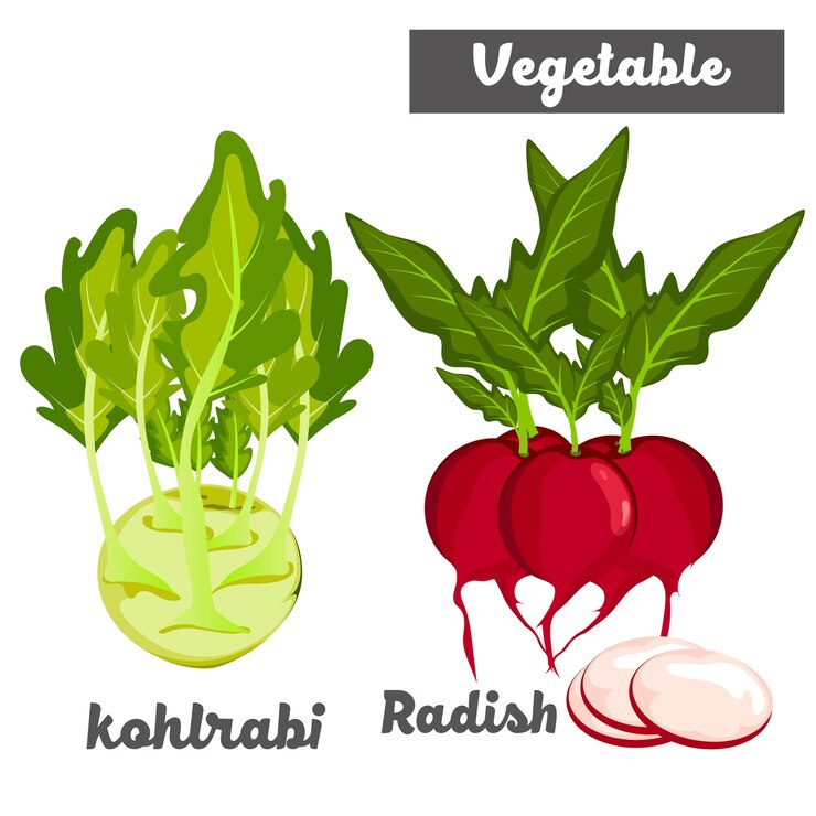 colinabo y rábano vegetal