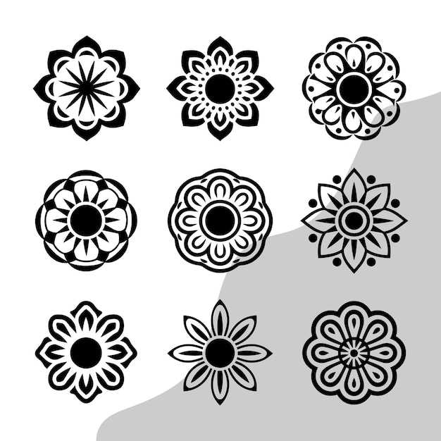 un collage blanco y negro de flores y un fondo blanco