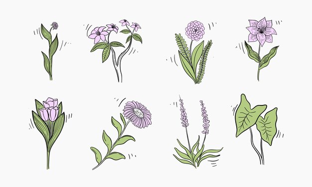 collection of handdrawn floral illustrations featuring several different flowers and plants