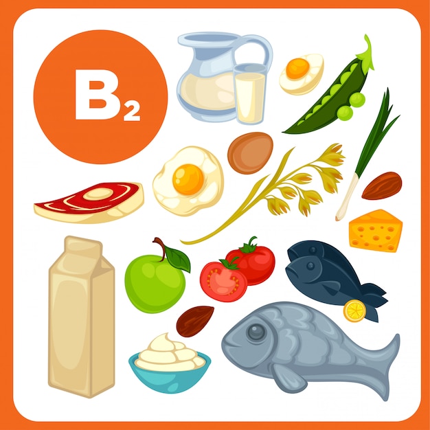 Coloca los alimentos con vitamina B2.