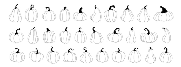 Vector coloca calabazas símbolos vectoriales de calabazas de estilo lineal negro halloween calabazas de cosecha de otoño calabazas de acción de gracias de otoño y halloween colección de calabazas