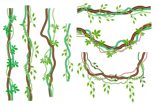 Color de dibujos animados Iconos de lianas tropicales diferentes Conjunto de vectores