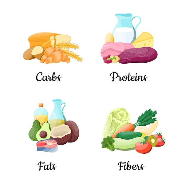 Color de dibujos animados Macronutrientes Dieta educativa Iconos Vector de conjunto