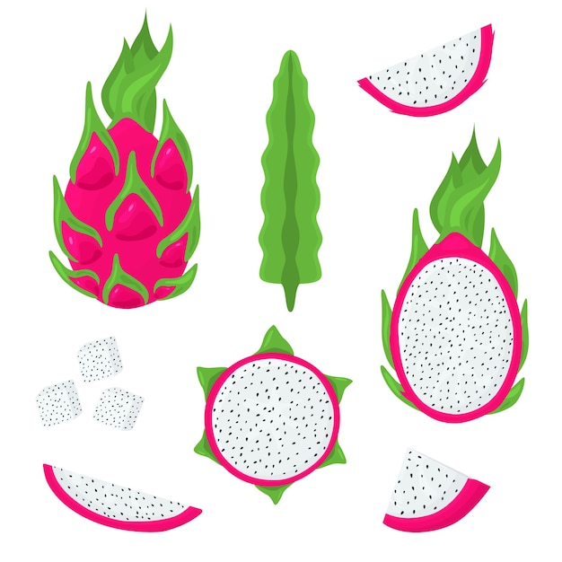Color de dibujos animados Pitaya entero y medio conjunto vectorial