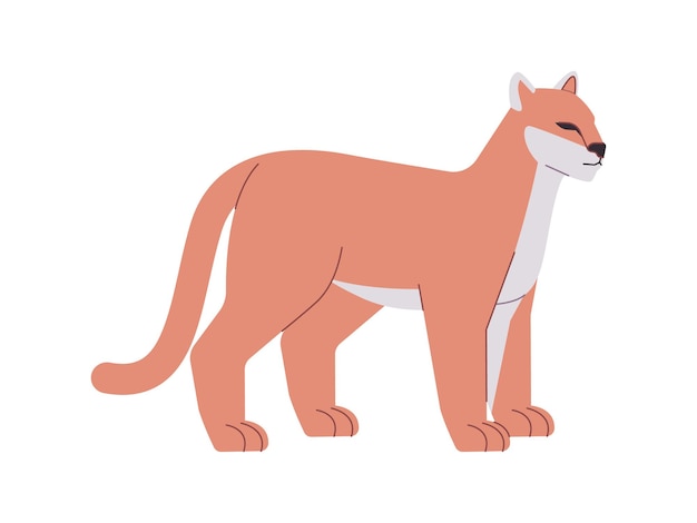 color marrón pantera de florida o puma depredador animal salvaje fuerte y peligroso cazador en peligro de extinción