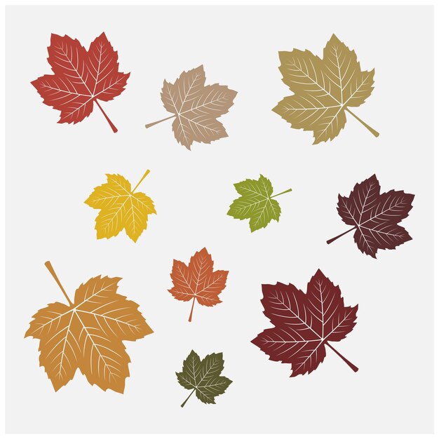 Color de Otoño Otoño Hoja de arce naranja oro rojo amarillo verde