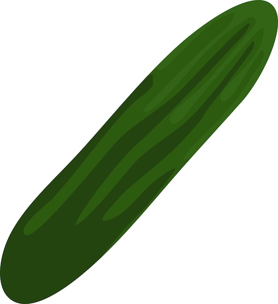 color de vector de ilustración de pepino largo