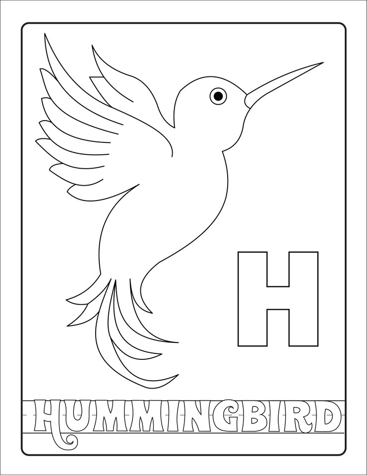Vector colorear alfabeto aprendiendo con pájaros y nombre