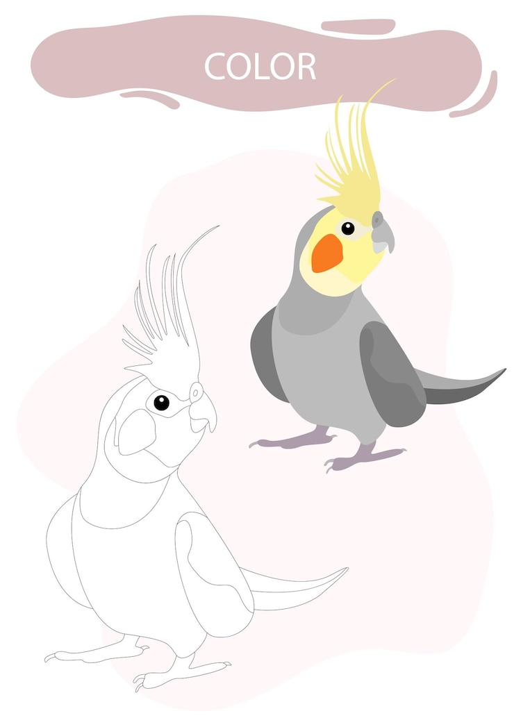 Vector colorear animales y pájaros como ejemplo de tarea para niños.