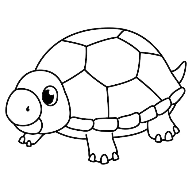 Para colorear el contorno de la linda tortuga