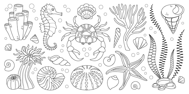 Colorear dibujos de animales y plantas marinas elementos del ecosistema submarino