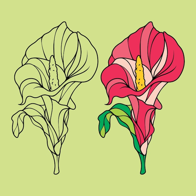 Vector colorear flores y arte de líneas