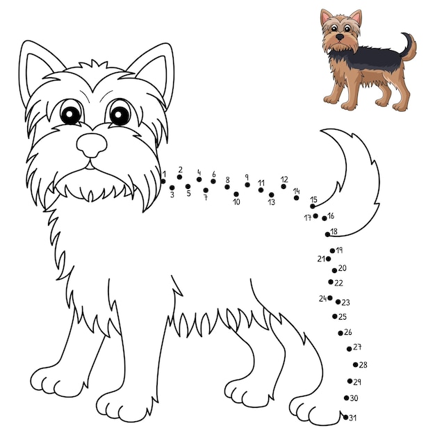 Colorear punto a punto yorkshire terrier aislado