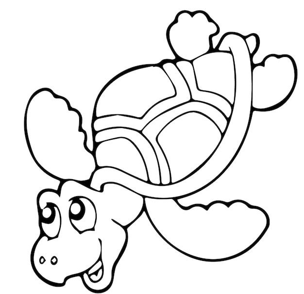 Vector colorear tortuga sobre fondo blanco