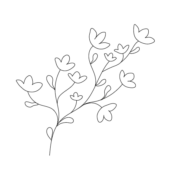 Colorear Twig flores Esquema Planta Rama con flores Ilustración vectorial para diseño de línea