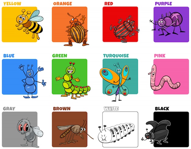 Vector colores básicos con personajes de dibujos animados de insectos