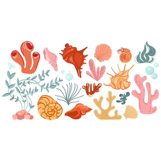 Colores de conchas marinas corales y plantas marinas conjunto Colección submarina Ilustración vectorial