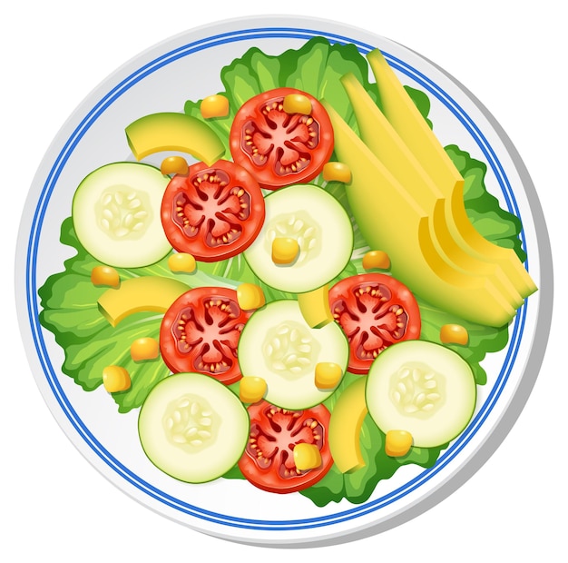 Colorful Fresh Salad Vector Illustration