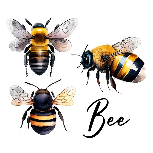 Colorida abeja acuarela en hermoso estilo dibujado a mano ilustración vectorial jardín naturaleza vector colle