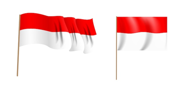 Colorida bandera ondeante naturalista de la república de indonesia.