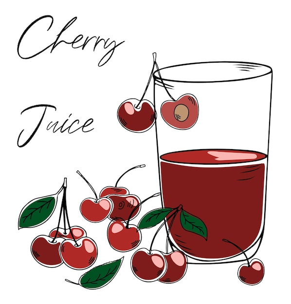 Colorida ilustración vectorial dibujada a mano de jugo de cereza en vaso con cerezas maduras frescas