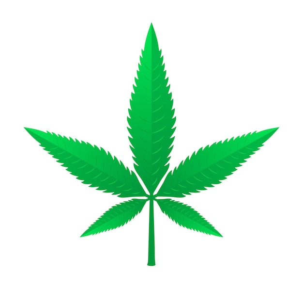 Colorida Marihuana Cannabis Leaf Gradiente Icono Vector Ilustración
