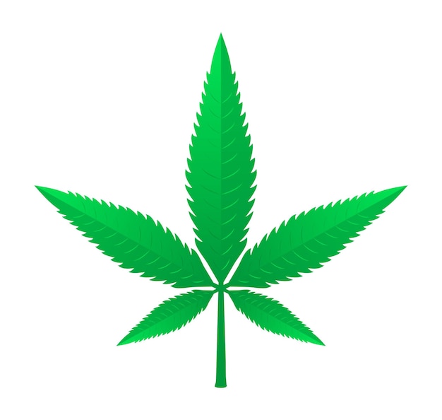 Colorida marihuana cannabis leaf gradiente icono vector ilustración