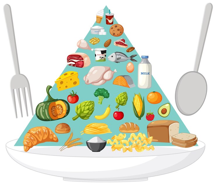 Vector la colorida variedad de alimentos en el plato