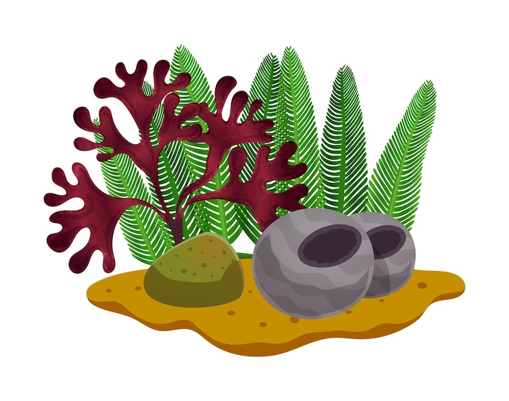 Vector coloridas algas y piedras en el fondo del mar o en la ilustración vectorial plana del acuario