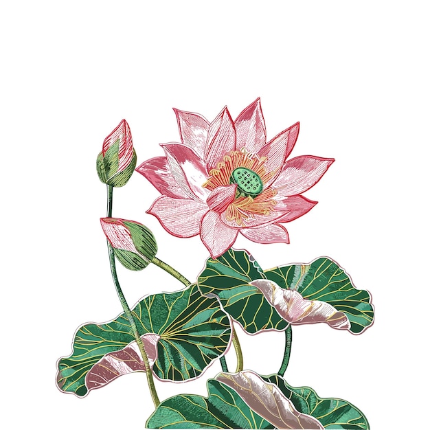 coloridas flores de loto conjunto de diseño de ilustraciones artísticas