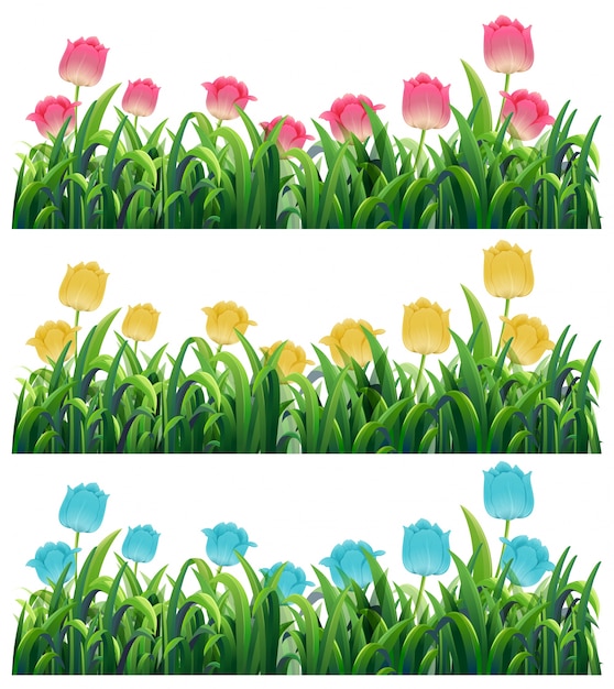 Las coloridas flores de tulipán en el jardín