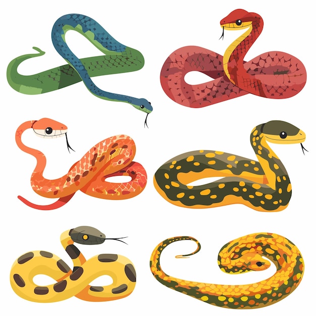 Coloridas serpientes de dibujos animados diferentes patrones texturas variedad de especies ilustradas capturadas