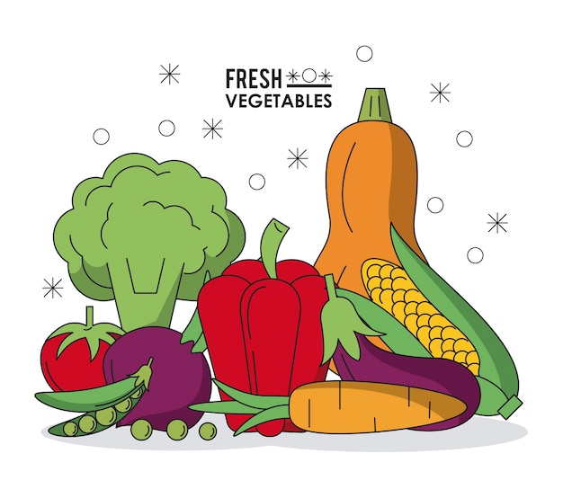 Vector colorido cartel con verduras frescas