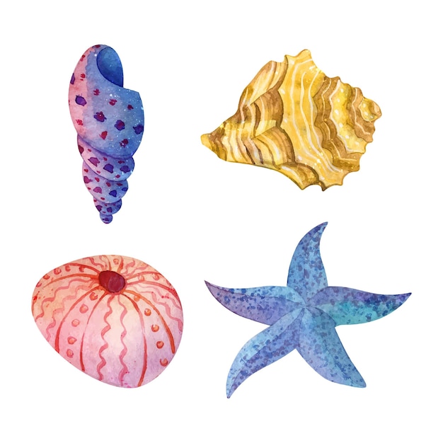 Colorido conchas marinas acuarela dibujado a mano vector clipart