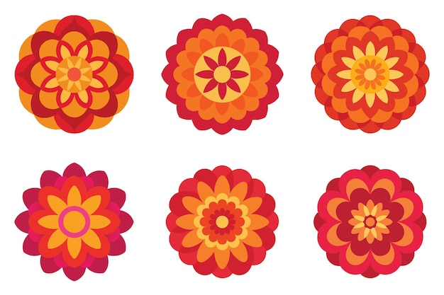 Colorido conjunto de ilustraciones de flores de zinnia