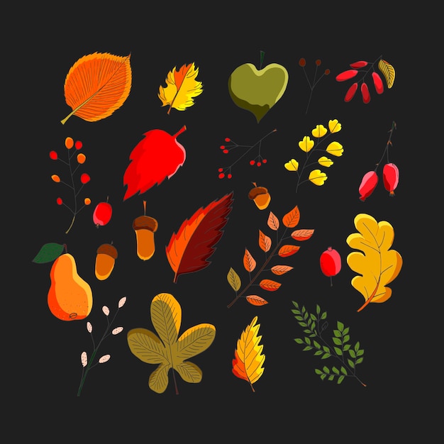 Colorido conjunto de vectores de hojas de otoño arces robles castaños y olmos hojas bayas rojas y bellotas ilustración dibujada a mano
