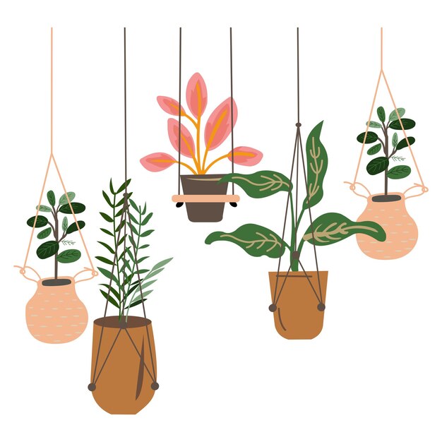 El colorido diseño de las plantas colgantes de interior