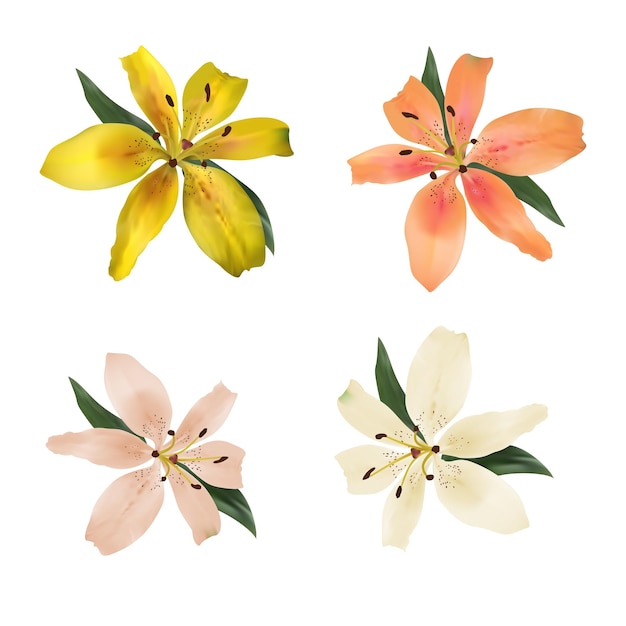 Vector colorido de flor de lirios aislado sobre fondo blanco vector conjunto de flores florecientes para su diseño adorno para invitaciones de boda y tarjeta de felicitación
