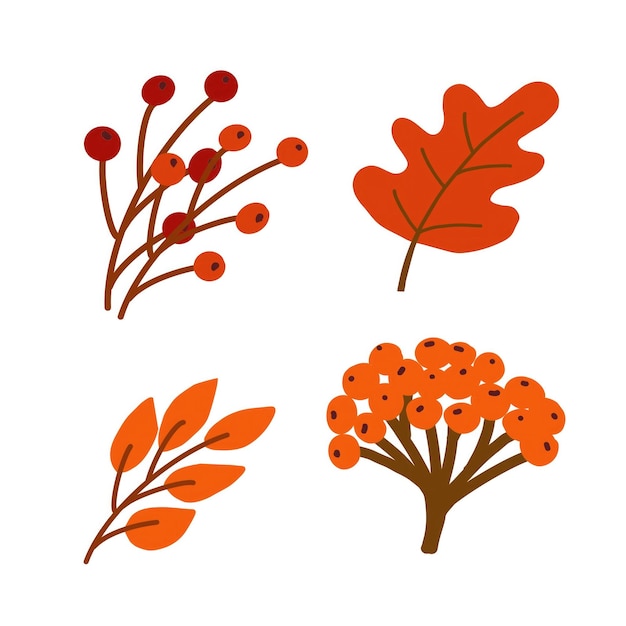 El colorido follaje de otoño y las bayas dispuestas artísticamente sobre un fondo blanco