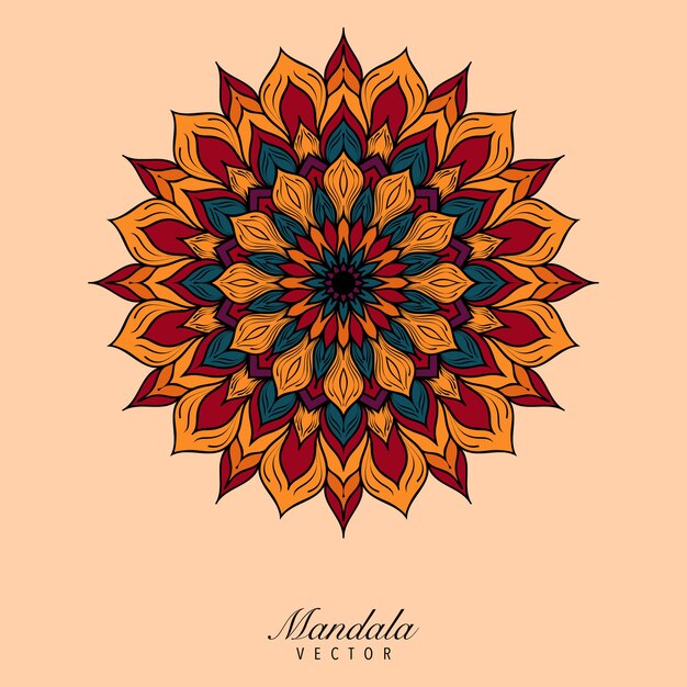 El colorido fondo del mandala