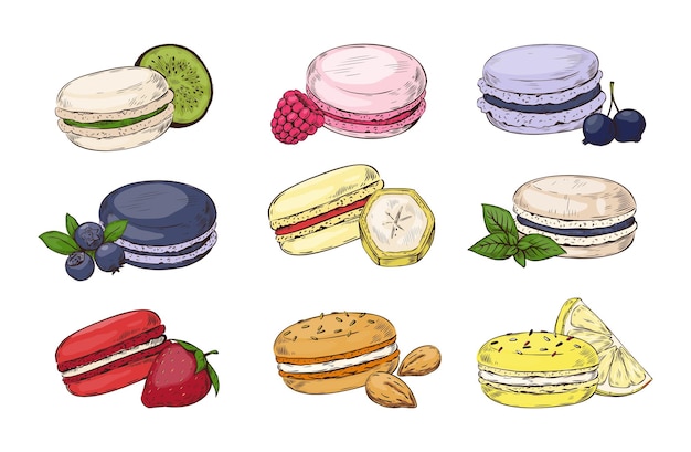 Vector colorido macarrón francés pastelería dulce postre con diferentes sabores bayas gourmet o galletas de queso limón y plátano panadería boceto cremas de confitería gustos vector aislado lindo conjunto de galletas