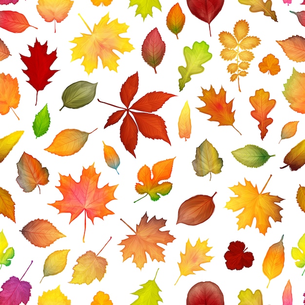 Colorido otoño hojas de patrones sin fisuras