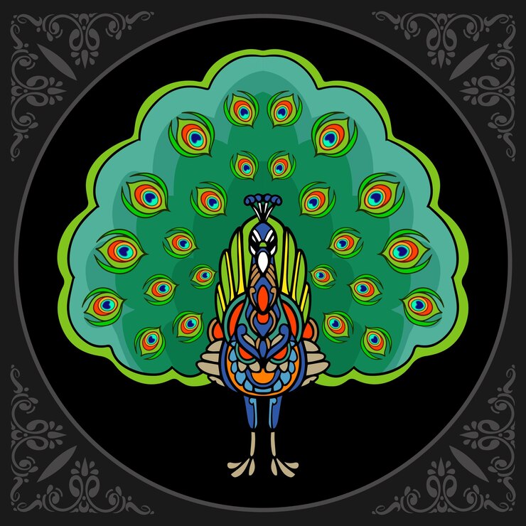 Vector colorido pájaro pavo real aislado sobre fondo negro