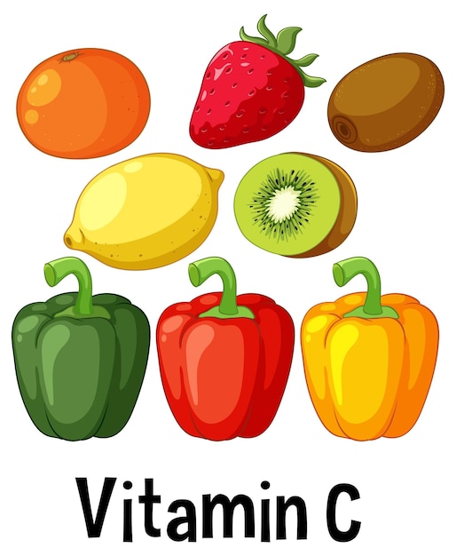 Colorido vector de alimentos ricos en vitamina CR