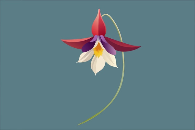 Columbine en un plano de ilustración vectorial de fondo limpio 2