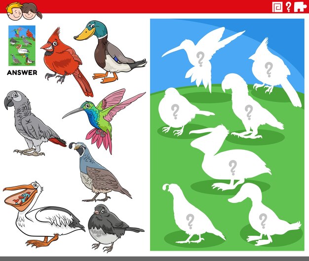 combina imágenes y la forma correcta con el juego educativo de pájaros de dibujos animados